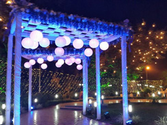 Design for Marwari/Gujrati Wedding